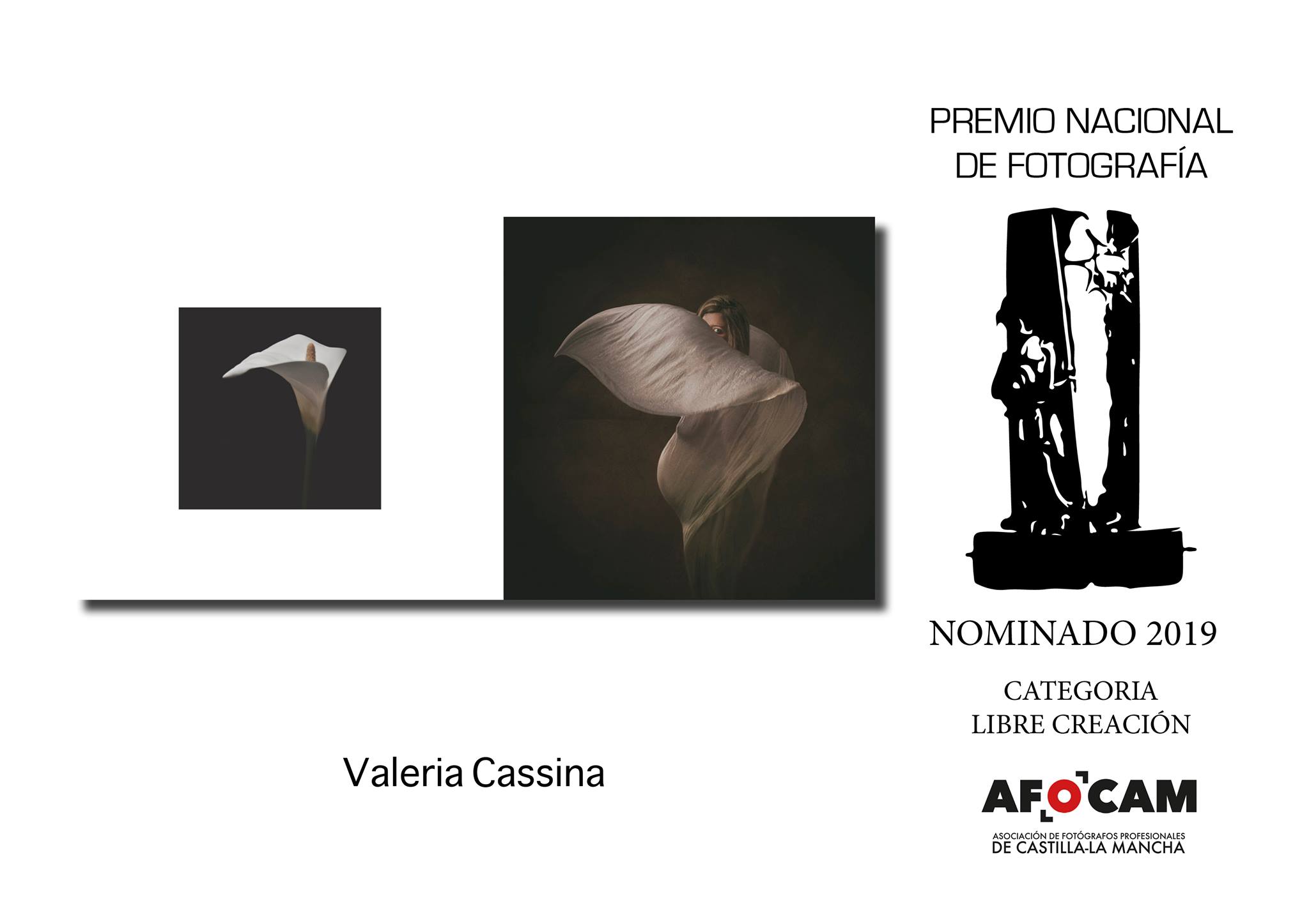 1º Premio Categoría Libre Creación - Valeria Cassina